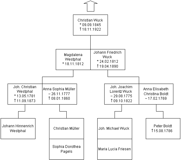 Blatt-11