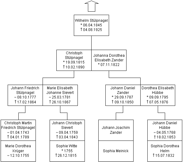 Blatt-8